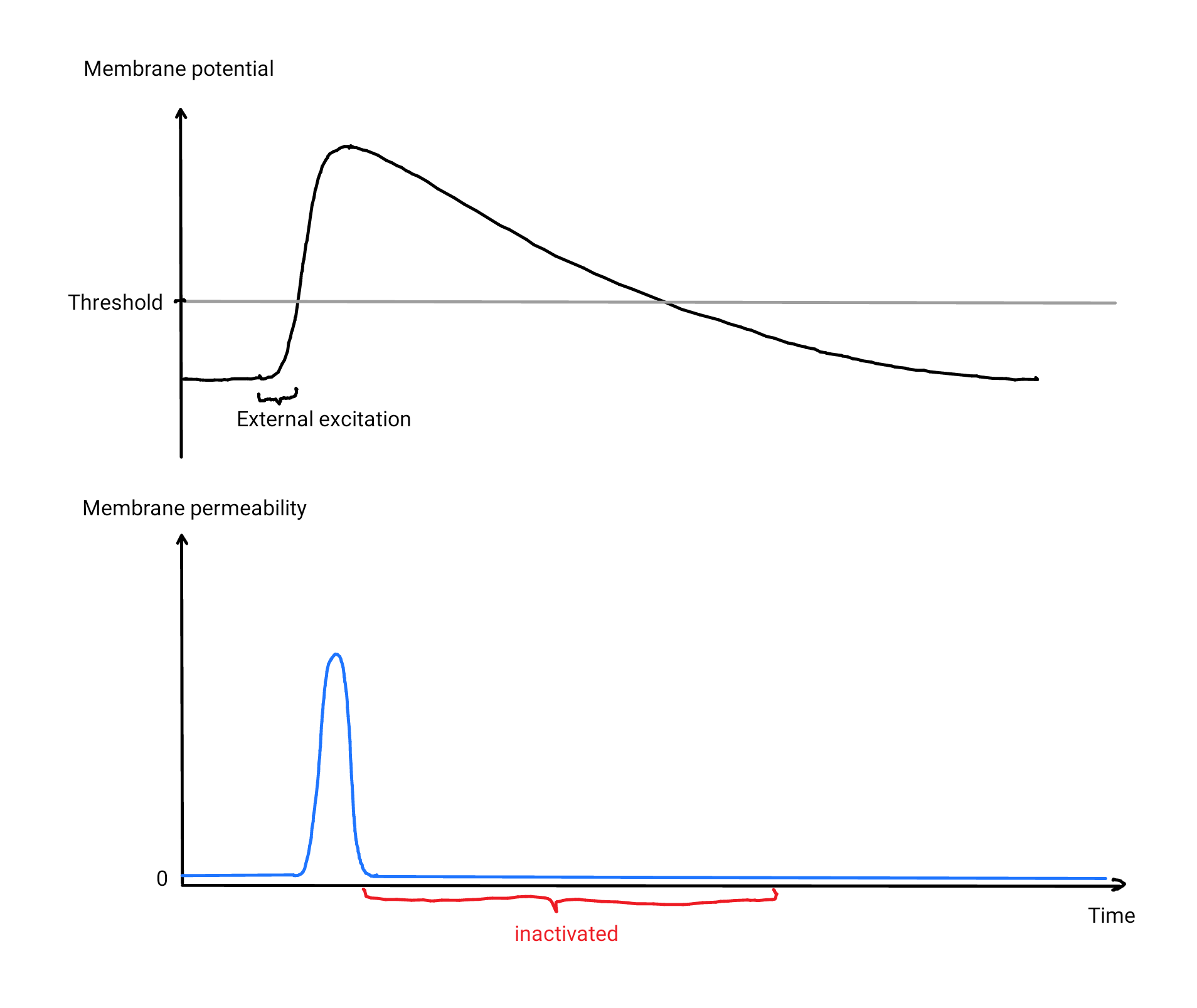 Sodium-only activation